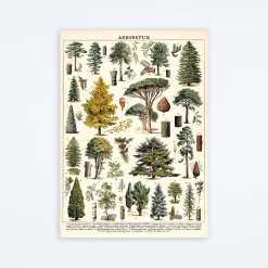 Arboretum Wrap