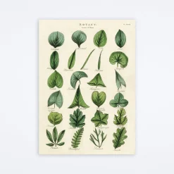 Botany Leaves Wrap