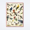 British Birds Wrap