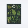 British Ferns Wrap