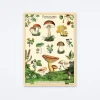 Forage Wrap