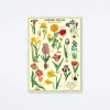 Garden Bulbs Wrap