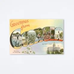 Greetings From Georgia Cherokee Rose Postcard