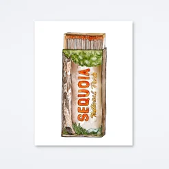 Sequoia Art Print