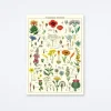 Wildflowers Wrap